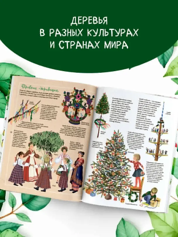 Книга Энциклопедия деревьев мира (Элеонора Барсотти) — 6