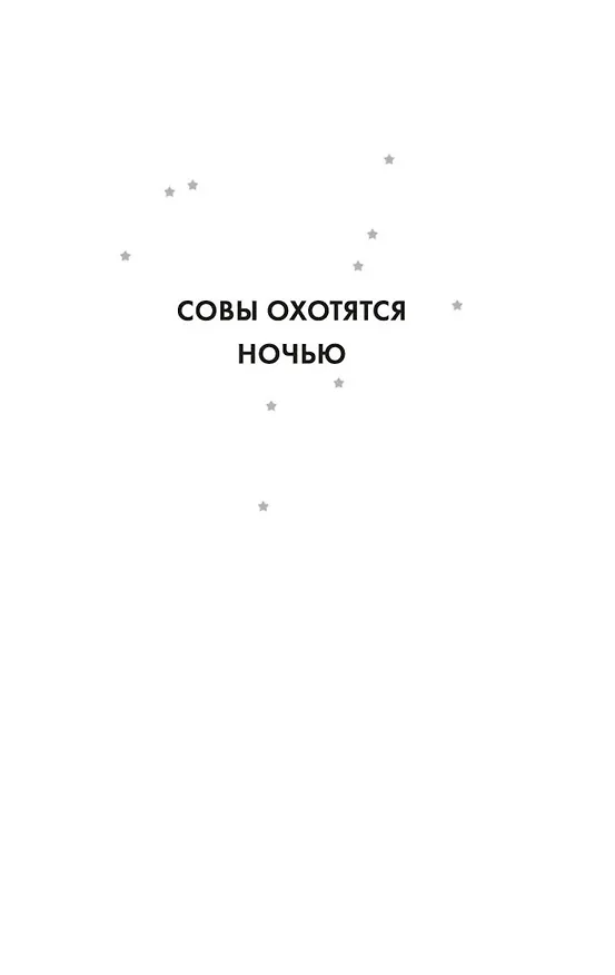Книга Совы охотятся ночью (Энтони Горовиц) — 8