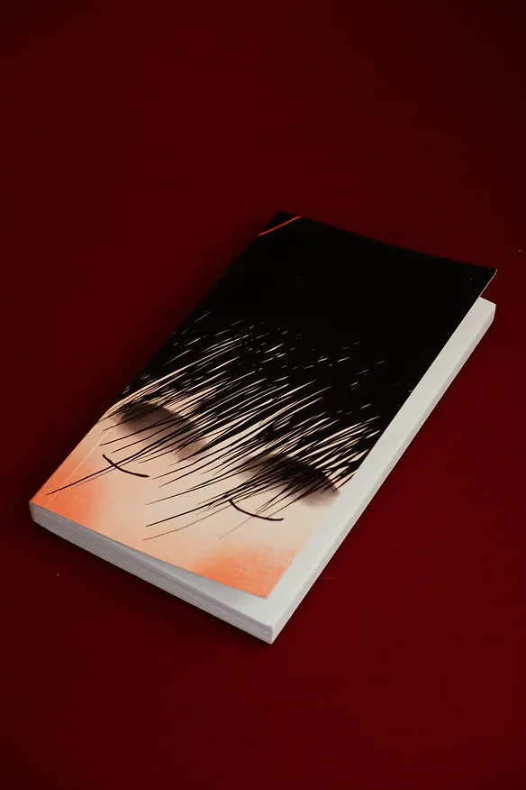 Книга Порез (Патрисия Маккормик) — 13