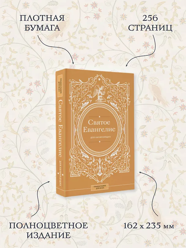 Книга Святое Евангелие для начинающих (Наталия Куцаева) — 7