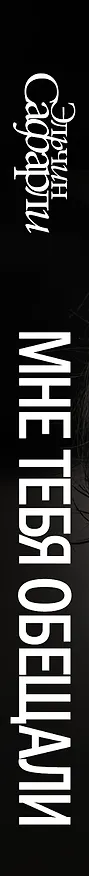 Книга Мне тебя обещали : роман (Эльчин Сафарли) — 3