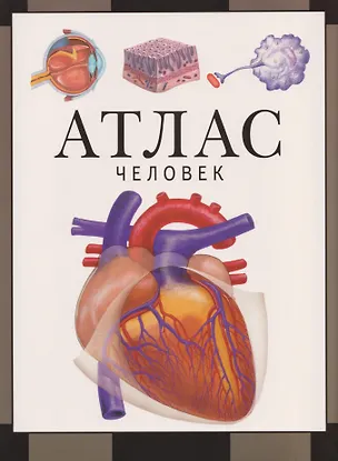 Книга Человек. Атлас (Сергей Барабанов)