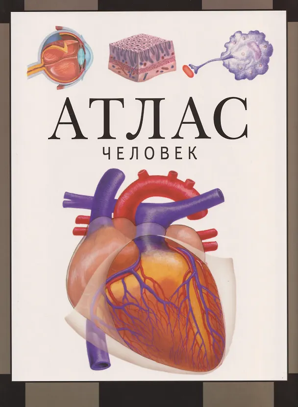Книга Человек. Атлас (Сергей Барабанов) — 1