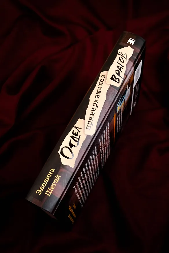 Книга Отдел примирившихся врагов (Эвелина Шегай) — 6