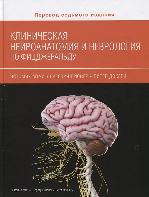 Книга Клиническая нейроанатомия и неврология по Фицджеральду (Мтуи) () — 1