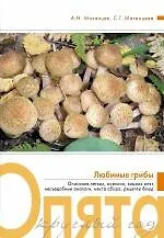 Книга Опята круглый год (Александр Матанцев)