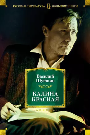 Калина красная — 2661995 — 1