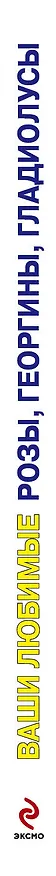 Книга Ваши любимые розы, георгины, гладиолусы (Е. Власенко) — 3