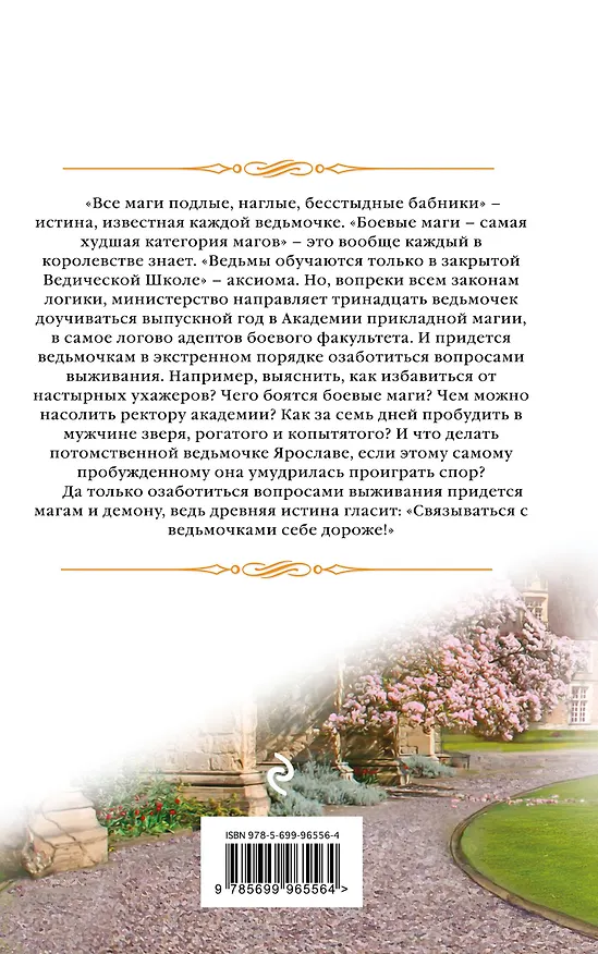 Книга Приключения ведьмочки: Мой личный враг (Елена Звёздная) — 2