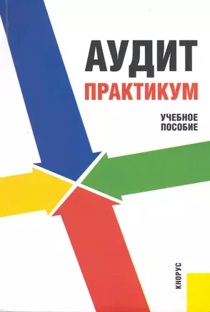 Аудит. Практикум : учебное пособие — 2228422 — 1