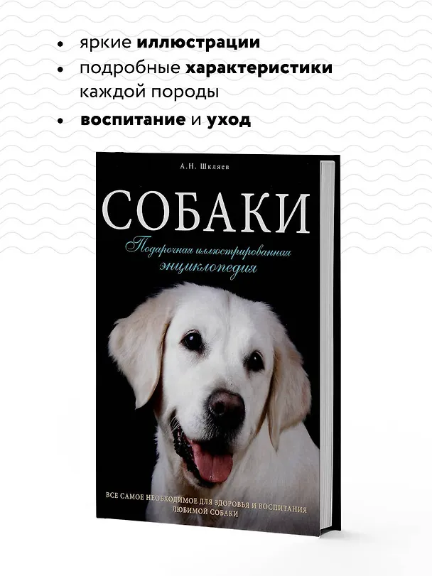 Книга Собаки. Подарочная иллюстрированная энциклопедия (Андрей Шкляев, Игорь Ритербанд) — 7