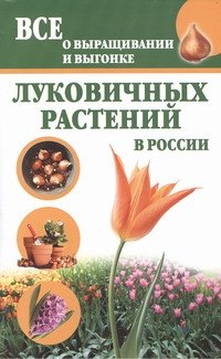 

Луковичные растения.Все о выращивании