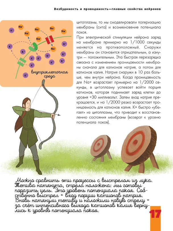 Книга Мозг и нервная система (Вячеслав Дубынин, Игорь Сергеев) — 11