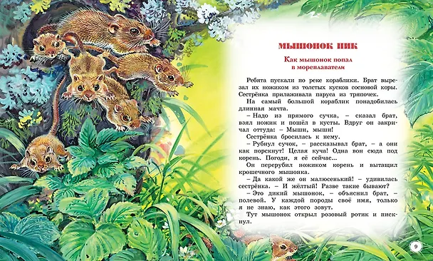 Книга Сказки и рассказы о животных (Виталий Бианки) — 9