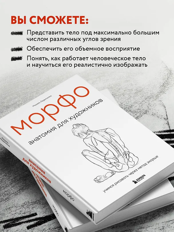 Книга МОРФО. Анатомия для художников (Мишель Лауричелла) — 8