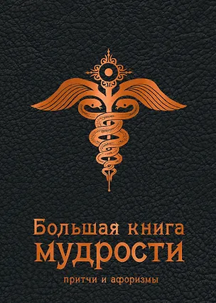 Книга Большая книга мудрости (черная) (И. Попков)
