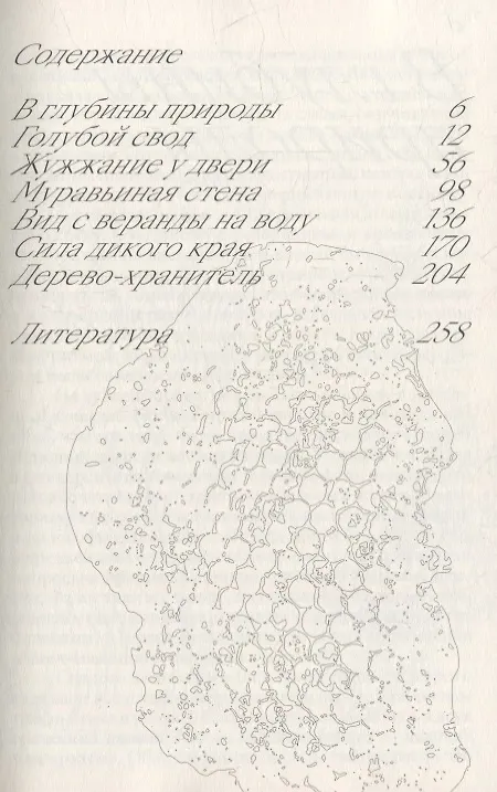 Книга Шесть граней жизни. Повесть о чутком доме и о природе, полной множества языков (Нина Бертон) — 4