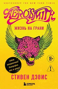 Жизнь на грани. Aerosmith