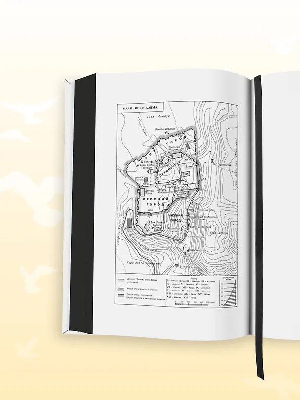 Книга Библия: в современном русском переводе () — 12