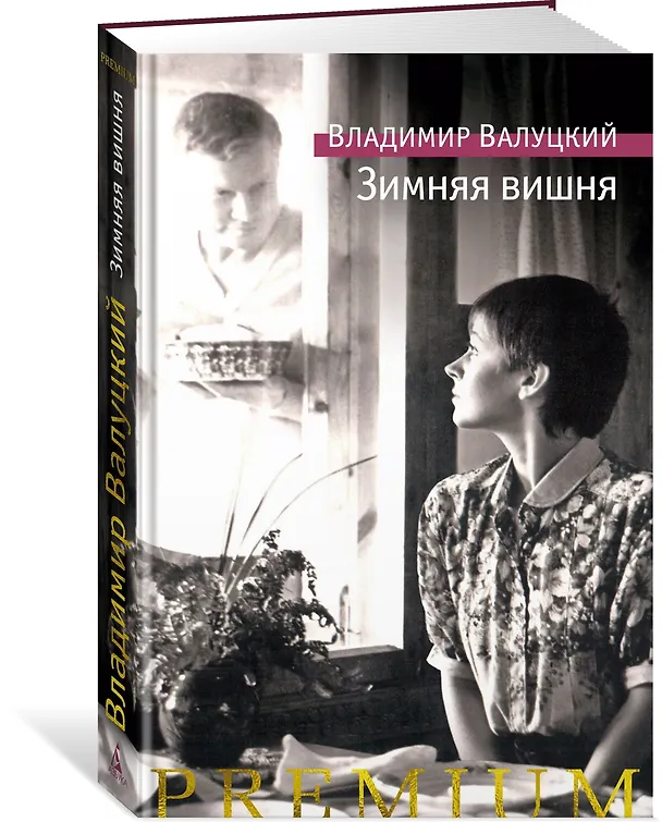 Книга Зимняя вишня (Владимир Валуцкий) — 4