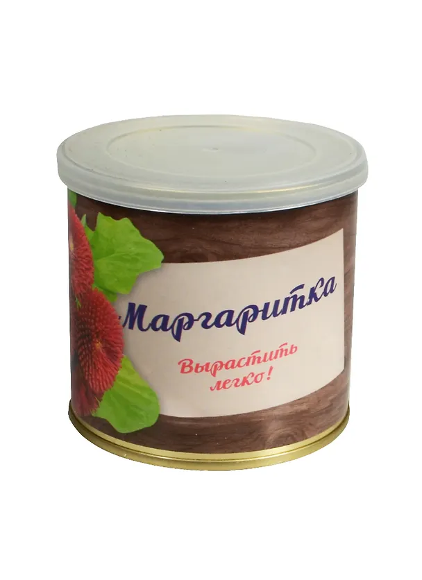 Мини - цветок в банке Маргаритка  (410800) 2502905 — 1