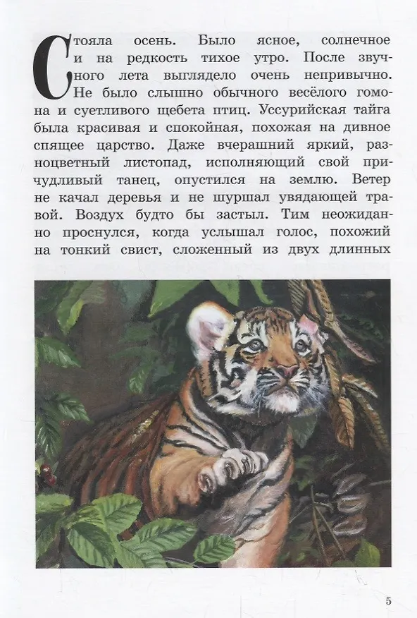 Книга Про любопытного тигренка Тима (Наталья Голикова) — 3