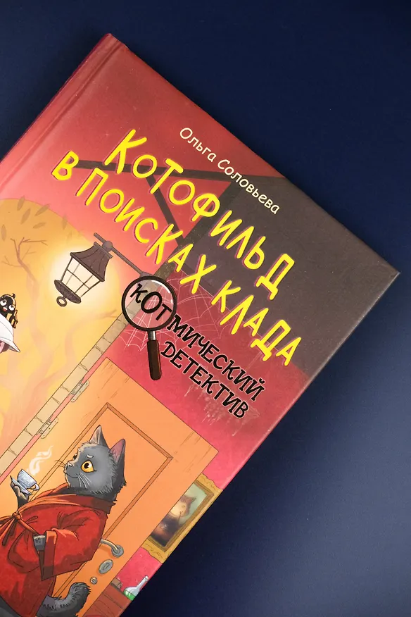 Книга Котофильд в поисках клада (Ольга Соловьёва) — 8