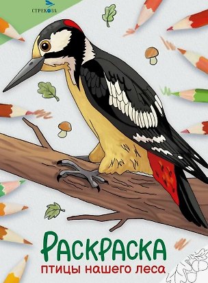 Книга Птицы нашего леса. Окружающий мир. Раскраска (М. Калугина)
