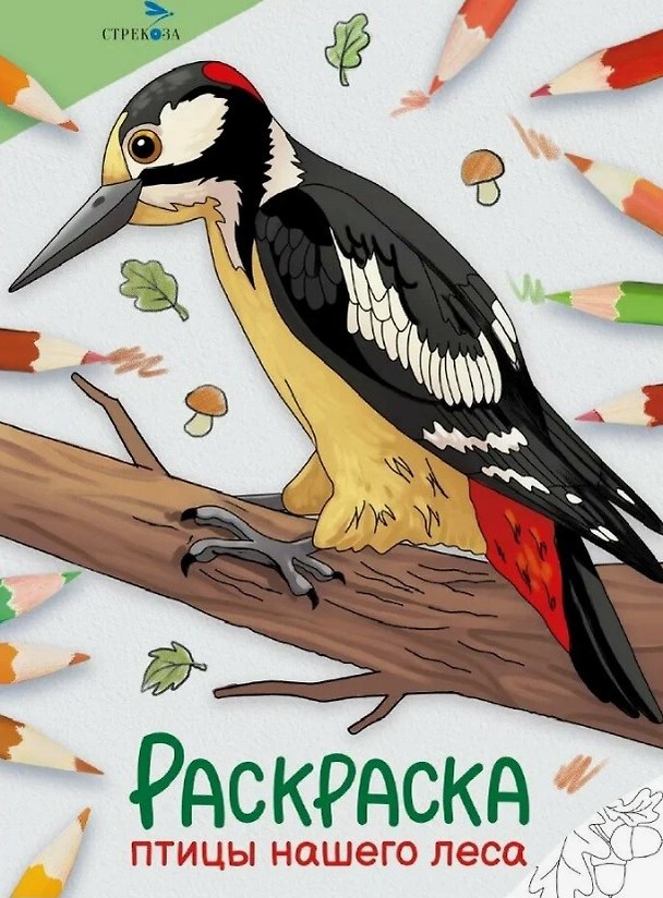 Книга Птицы нашего леса. Окружающий мир. Раскраска (М. Калугина) — 1