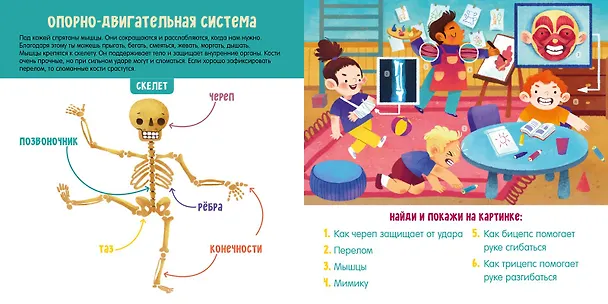 Книга Мое тело. Визуальный словарь (Анна Парамонова) — 5