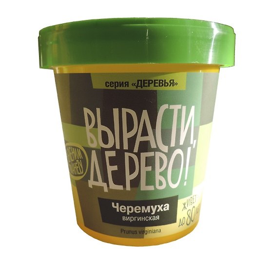 Набор для выращивания растений, Вырасти, Дерево! Черёмуха виргинская zk-052 2577844 — 1