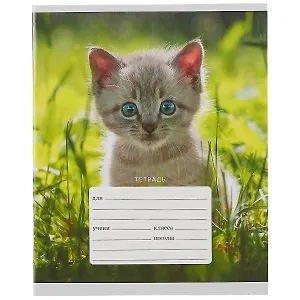 Тетрадь в линейку Listoff, "Котята", 12 листов, в ассортименте