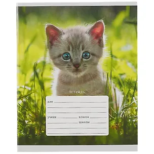 Тетрадь в линейку Listoff, "Котята", 12 листов, в ассортименте 2900785