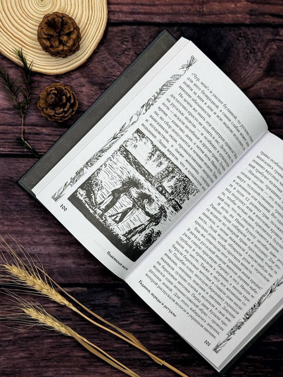 Изображение бумажной книги