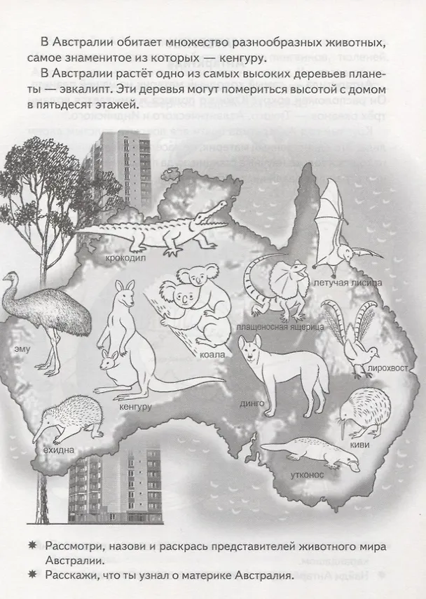 Книга Знакомимся с окружающим миром (6-7 лет) (Елена Бортникова) — 4