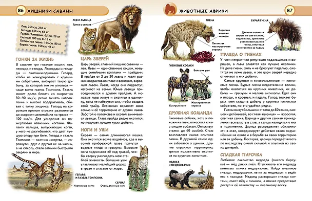 Книга Животные (Юлия Школьник) — 11