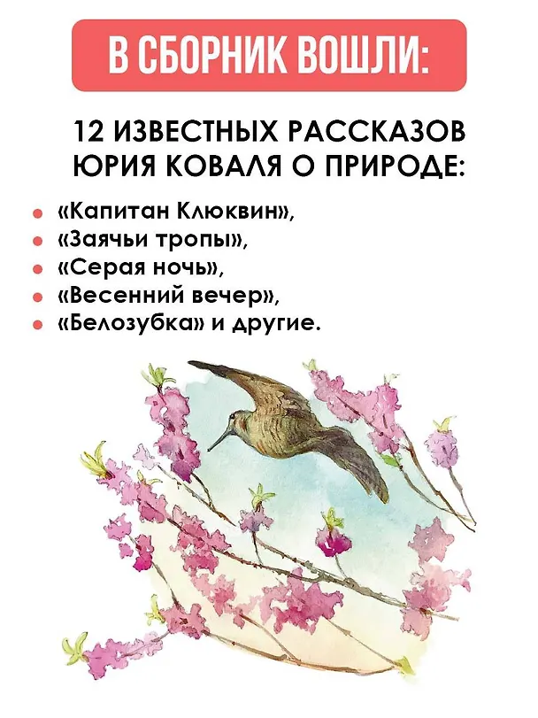 Книга Жеребенок (Юрий Коваль) — 6