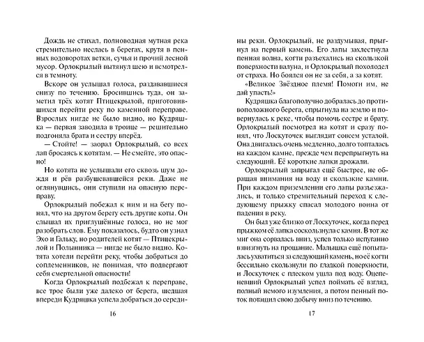 Книга Скитания (Эрин Хантер) — 8