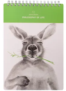 Скетчбук 40 листов Коллекция "Kangaroo", Be Smart А5