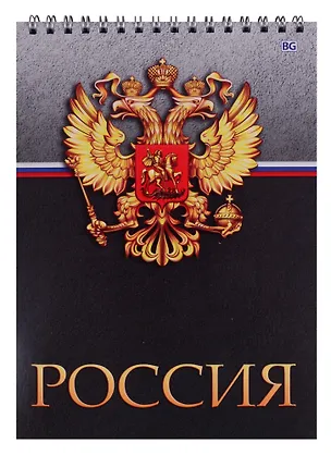 Блокнот А5 60 листов клетка "Россия - госсимволика" 247522