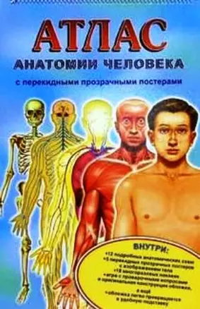 Атлас анатомии человека (с перекидными прозрачными постерами) (на липучке) (бол) (Лабиринт) — 2051367 — 1