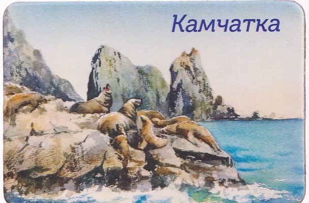 Магнит Сивучи лежбище (картон) (Петропавловск-Камчатский) (МК/200/003) 3136321 — 1
