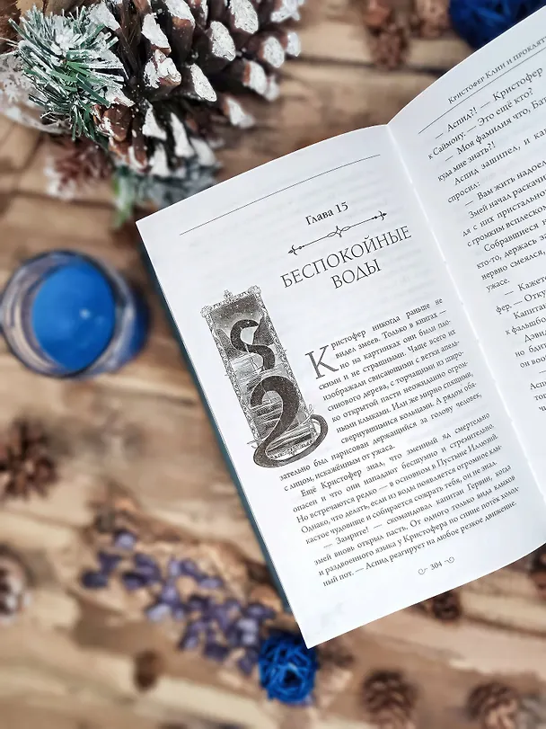 Книга Кристофер Клин и проклятье туманных вод (Александрия Рихтер) — 13