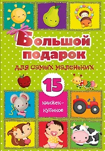 Большой подарок для самых маленьких. 15 книжек-кубиков!