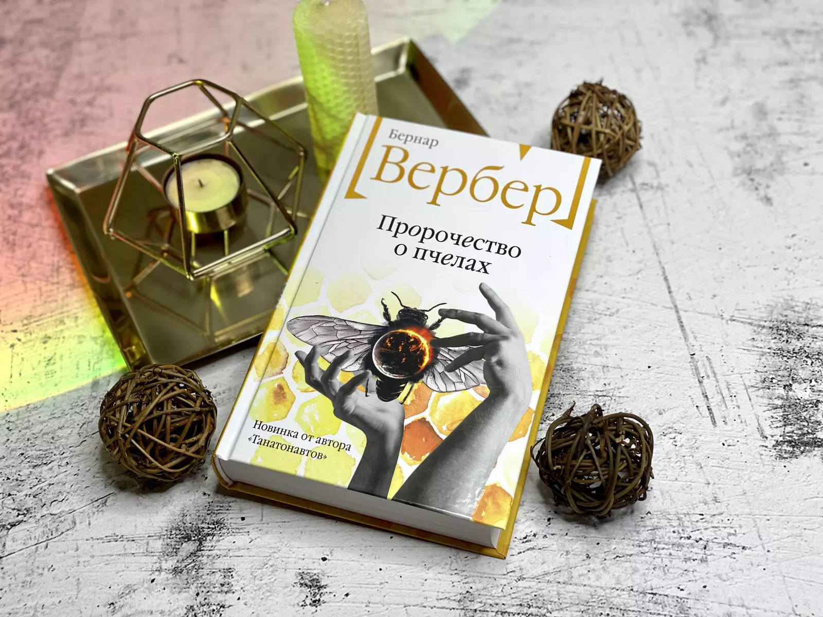 Пророчество о пчелах (Бернар Вербер) - купить книгу с доставкой в  интернет-магазине «Читай-город». ISBN: 978-5-04-161588-8