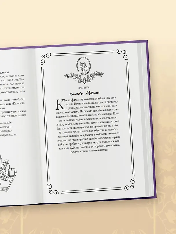 Книга Магия кошек. Ритуалы, заклинания и чары для котиков и их людей (Дебора Блейк) — 13