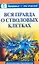 Вся правда о стволовых клетках — 2127423 — 1