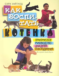 Как воспитать котенка