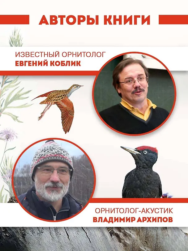 Книга Непевчие птицы. Средняя полоса европейской части России. Определитель с голосами птиц (Евгений Коблик) — 7