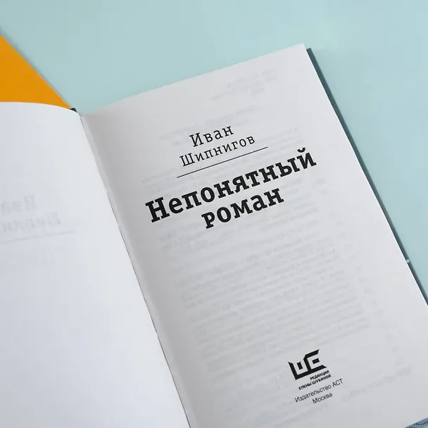 Книга Непонятный роман (Иван Шипнигов) — 11